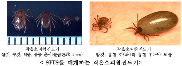 봄철 야외활동 증가…진드기 감염병 조심하세요!