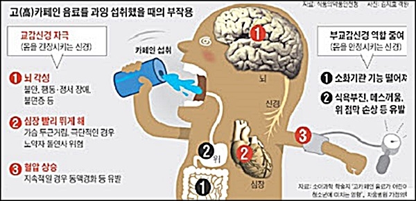 내년부터 학교에서 ‘커피’ 못 판다…‘고카페인 음료 판매 금지법’ 추진