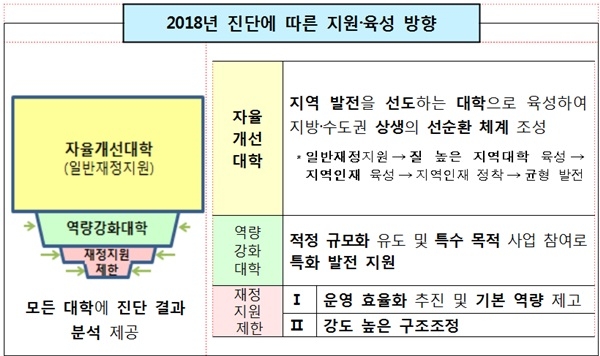 3단계로 나눈 '대학 기본역량 진단' 지원 및 육성 방안. / 교육부 제공