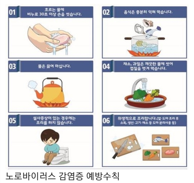 노로바이러스 식중독 주의보…"손씻기 등 개인위생 철저"