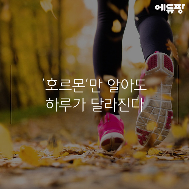 '호르몬'만 알아도 하루가 달라진다