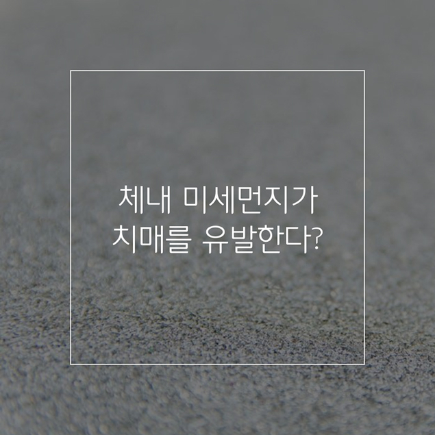 체내 미세먼지, 뇌까지 침투해 '치매 유발'