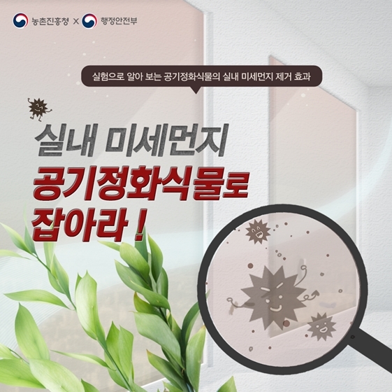 공기정화식물, ‘미세먼지 제거’ 효과 있을까?