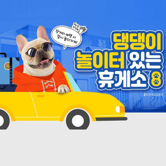 휴게소에 댕댕이 놀이터가 있다고?
