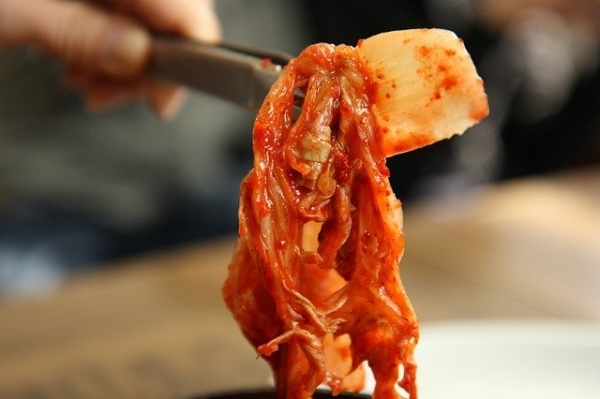 [김대유 교육평론] 김치문화를 선택과목으로