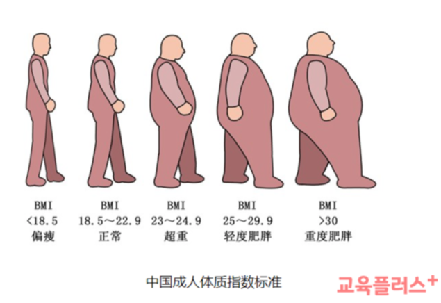 [에듀팡 건강뉴스]중국, 초·중학생 5명 중 1명 과체중 또는 비만...식단 실천 규칙 6가지는? - 교육플러스+