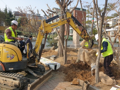 대구시교육청, '학교 밀식 목 분양사업' 추진
