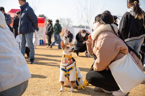익산시 2024 반려견 축제 '댕스티벌', 마을 주민들의 힘으로 성료