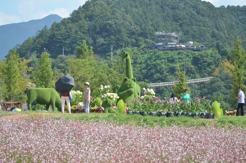포천시, 수도권 최대 생태 경관 축제 '한탄강 가든 페스타' 운영